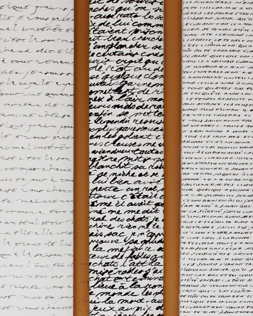 Lieve Cornil - Offline Lettering Courses - Schrift - textuur - cursus voor kalligrafie tablet