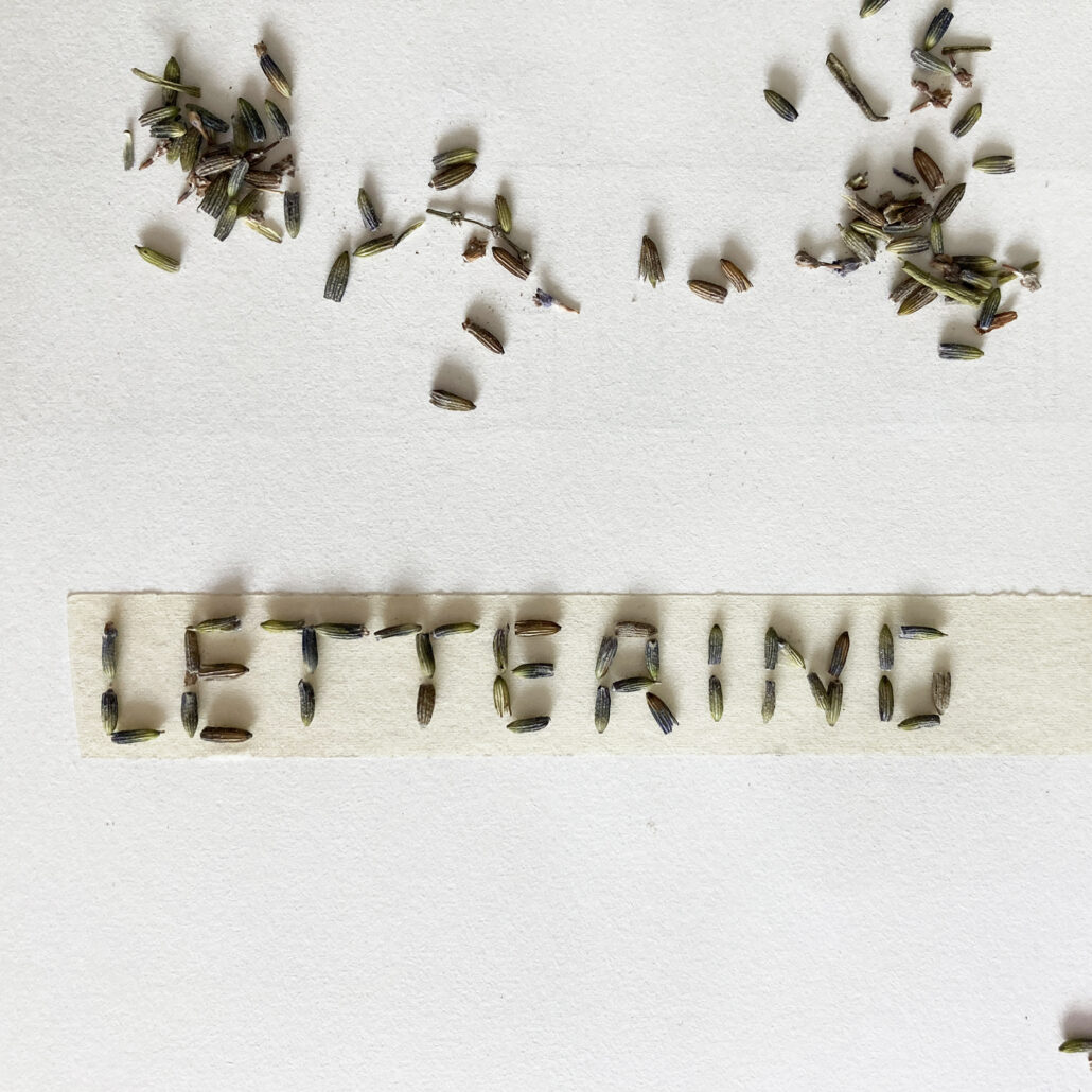 Lieve Cornil - Online Lettering Courses - A sensory journey into lettering - 06
