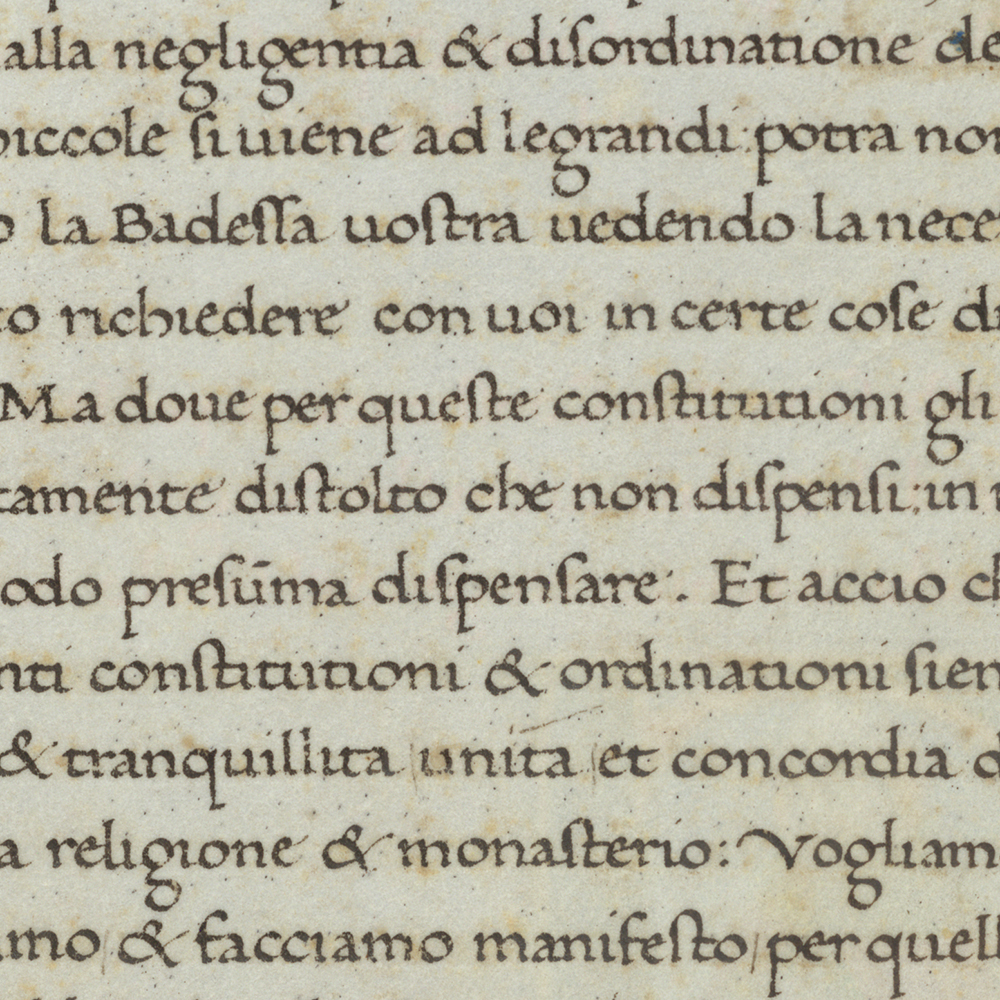 Lieve Cornil - Lettering Courses - Unlock your painting potential - 08